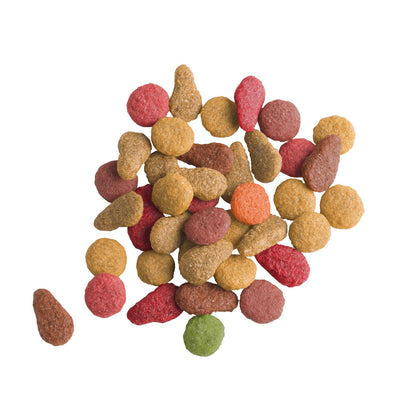 Versele Laga Lara Salmon Adult Cat Dry Food — detail shot