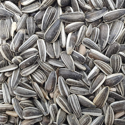 Versele Laga Sunflower Seeds Striped For Birds - Image 2