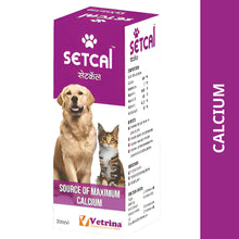 Vetrina Setcal Suspension For Dogs And Cats