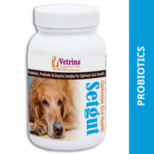 Vetrina Setgut Powder For Dogs And Cats