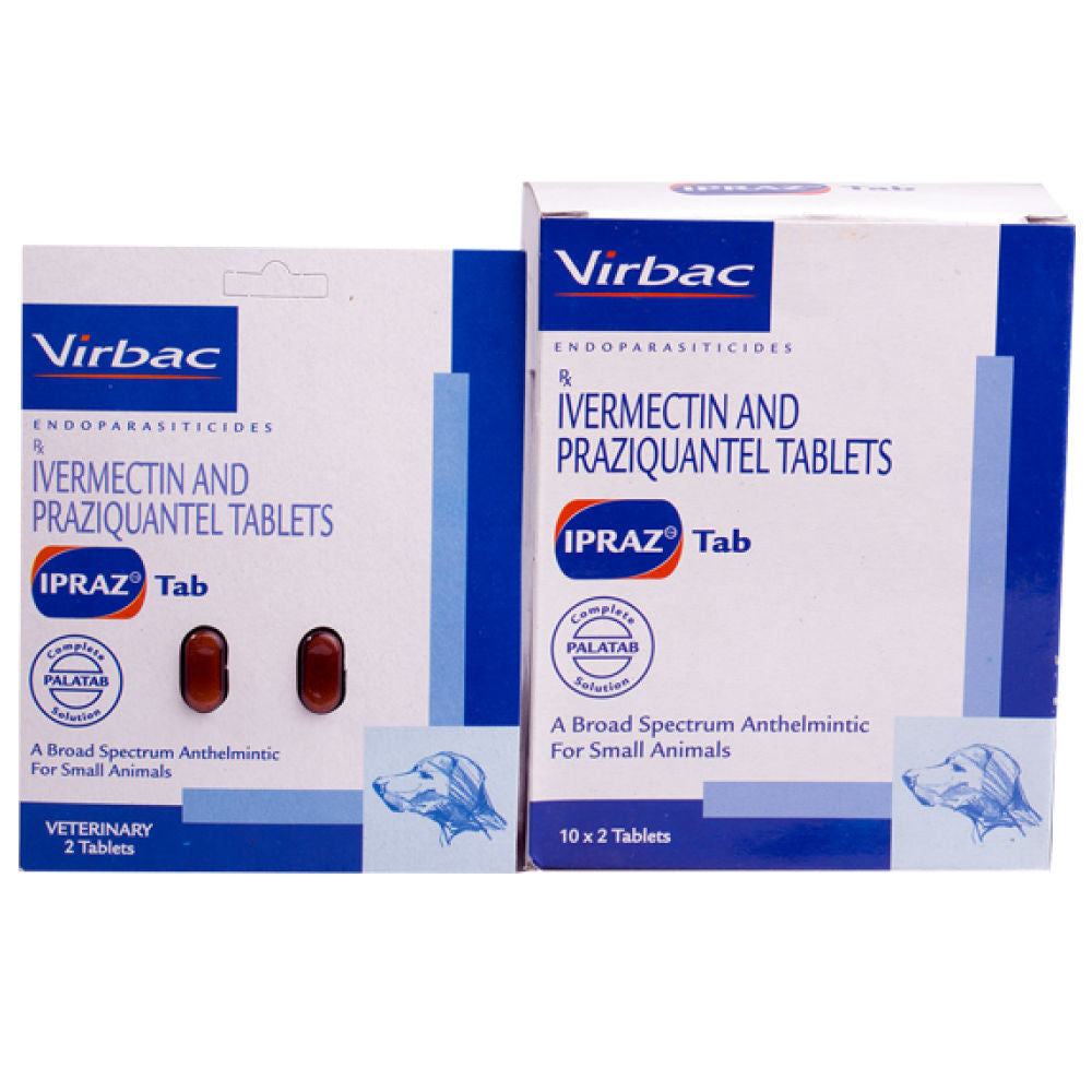 Virbac Ipraz Dewormer Tablets for Dogs — detail shot