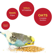 Vitapol Economic Food For Budgies - Image 2