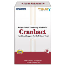 Vivaldis Cranbact Capsules For Dogs And Cats - Image 5