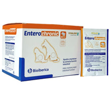 Vivaldis Entero Chronic Sachet - Image 2