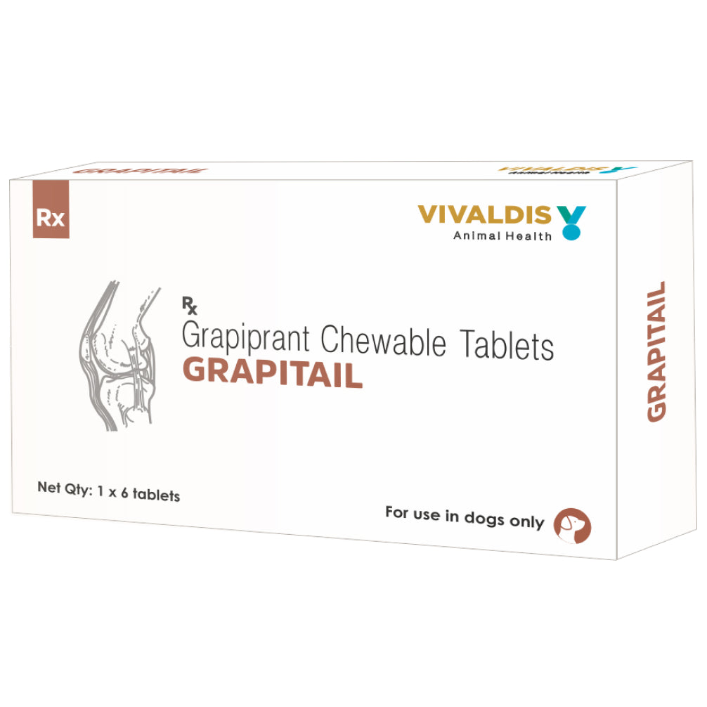 Vivaldis Grapitail 100mg (Grapiprant) Tablet for Dogs — in use