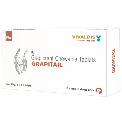 Vivaldis Grapitail 100mg (Grapiprant) Tablet for Dogs — in use