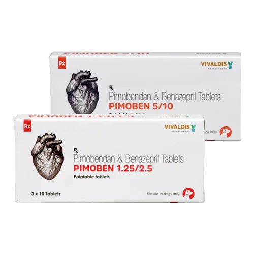 Vivaldis Pimoben 5/10mg (pimobendan & benazepril) Tablet for Dogs — in use
