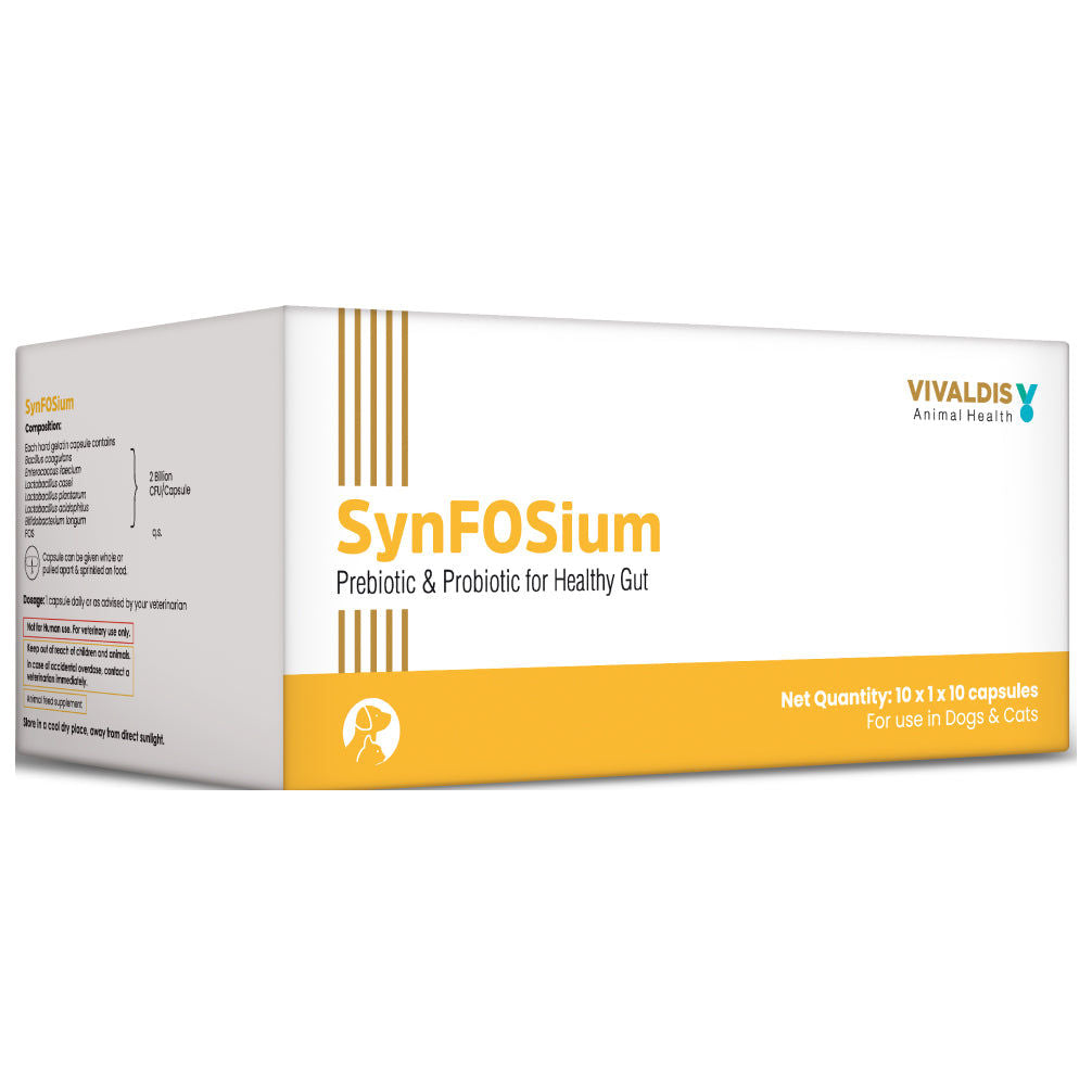 Vivaldis Synfosium Pre Probiotic Capsule for Dogs & Cats — side view