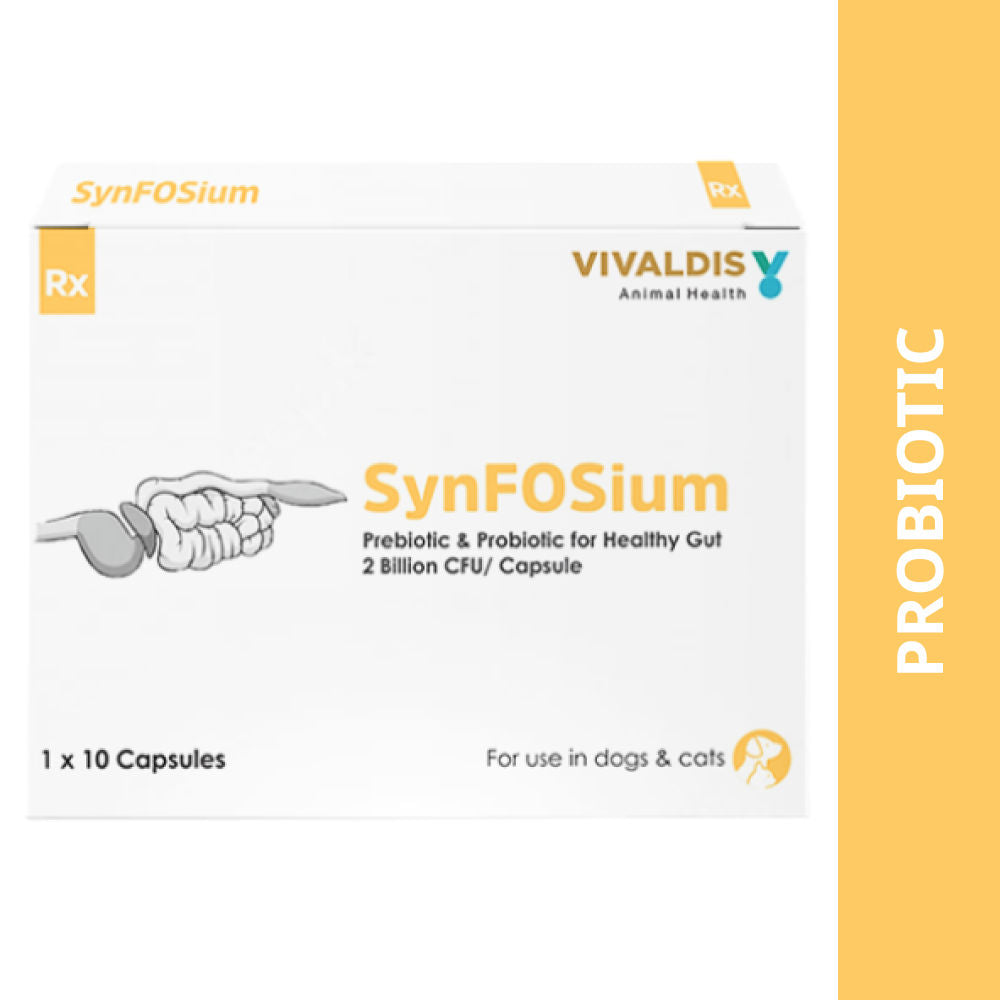 Vivaldis Synfosium Pre Probiotic Capsule for Dogs & Cats — detail shot
