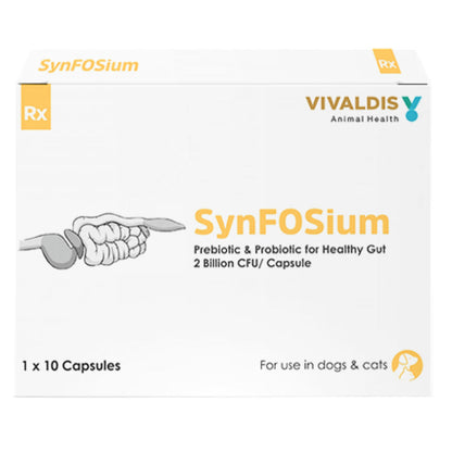 Vivaldis Synfosium Pre Probiotic Capsule for Dogs & Cats — in use