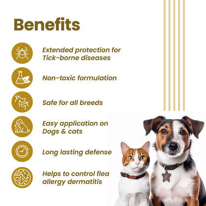 Vivaldis Vi-Fi Forte Spray (Fipronil) Tick & Flea Control for Dogs & Cats — back view
