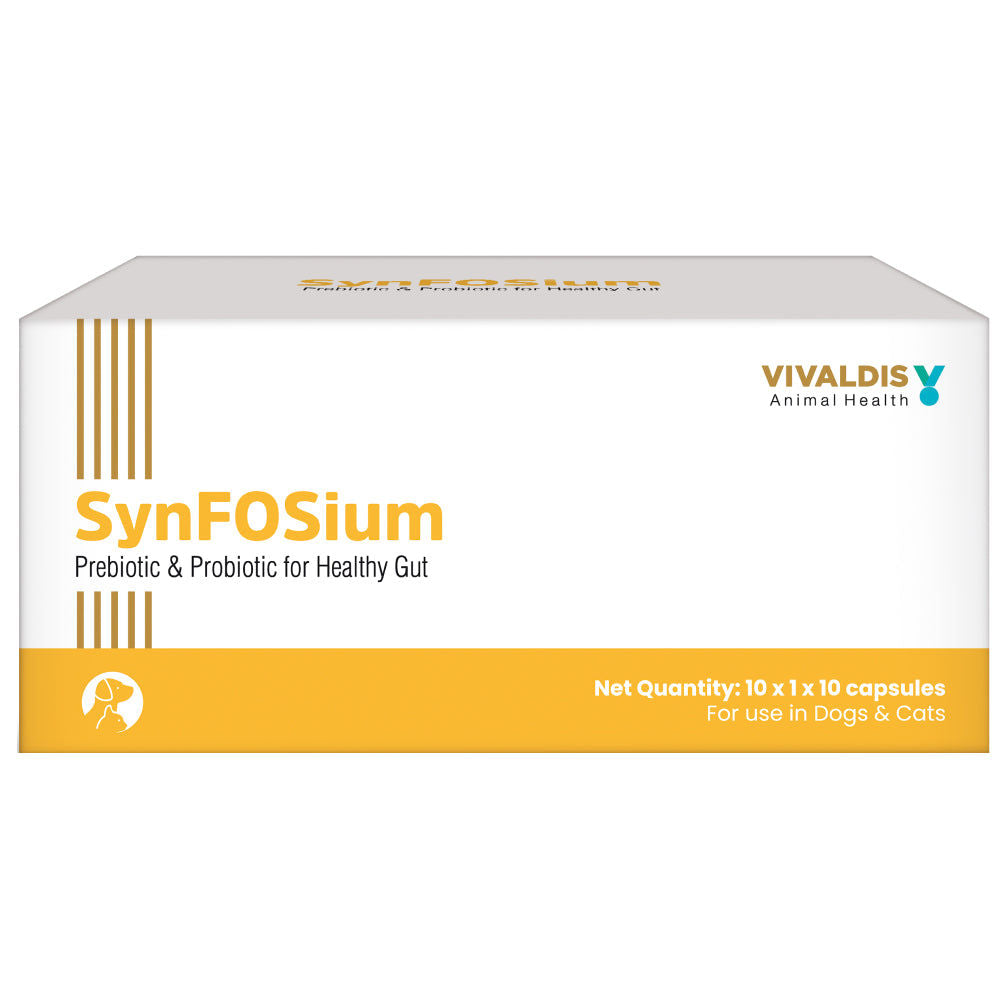 vivaldis-synfosium-capsule 4 Strip (40 tablets)