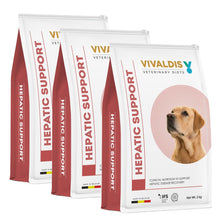 Vivaldis Hepatic Support Diet - Image 2