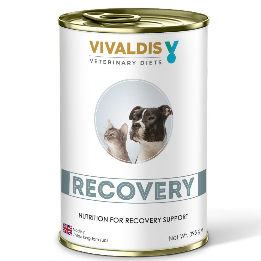 Vivaldis Recovery Wet Dog Food Diet