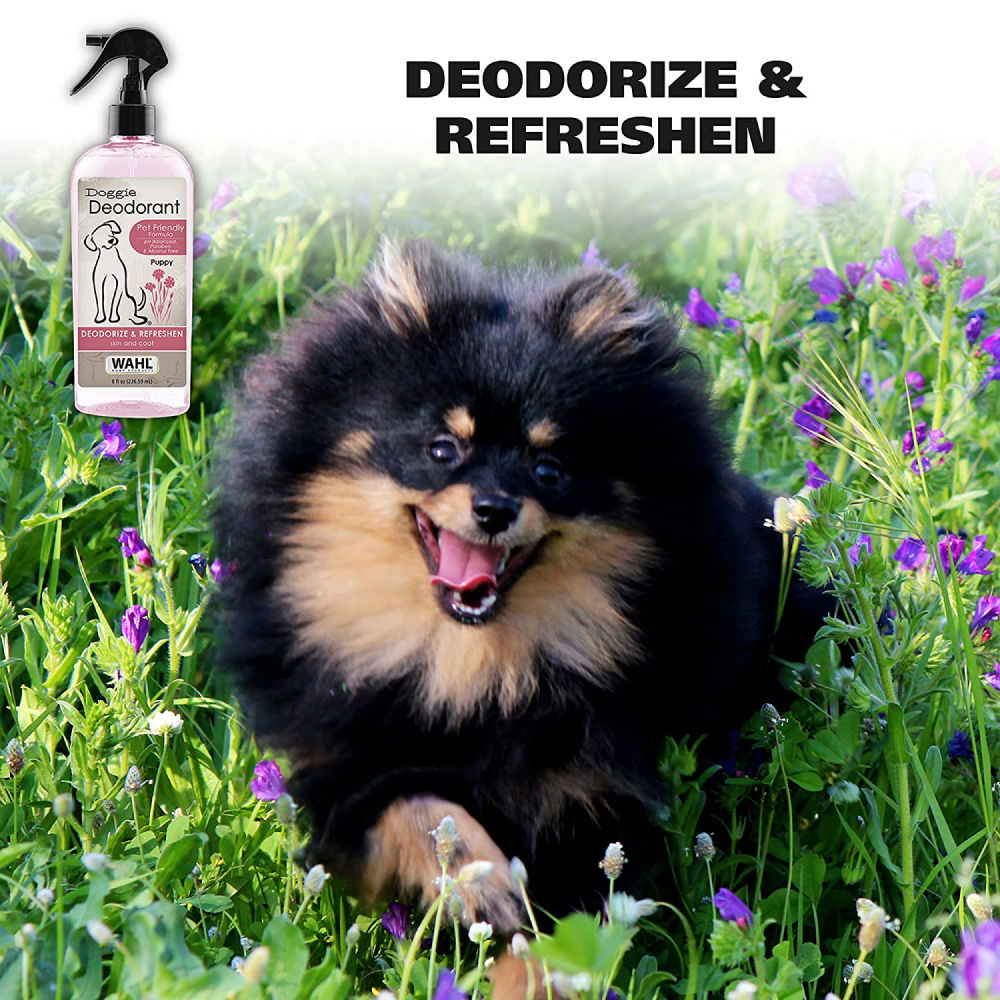 Wahl Doggie Deodorant for Puppy — in use