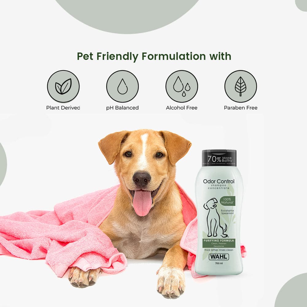 Wahl Odor Control Eucalyptus Spearmint Shampoo for Dogs — in use