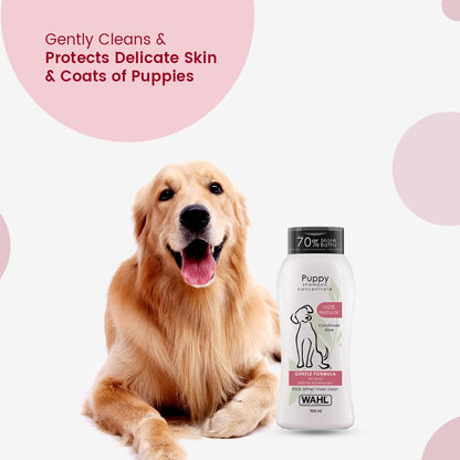 Wahl Shampoo for Puppy — in use
