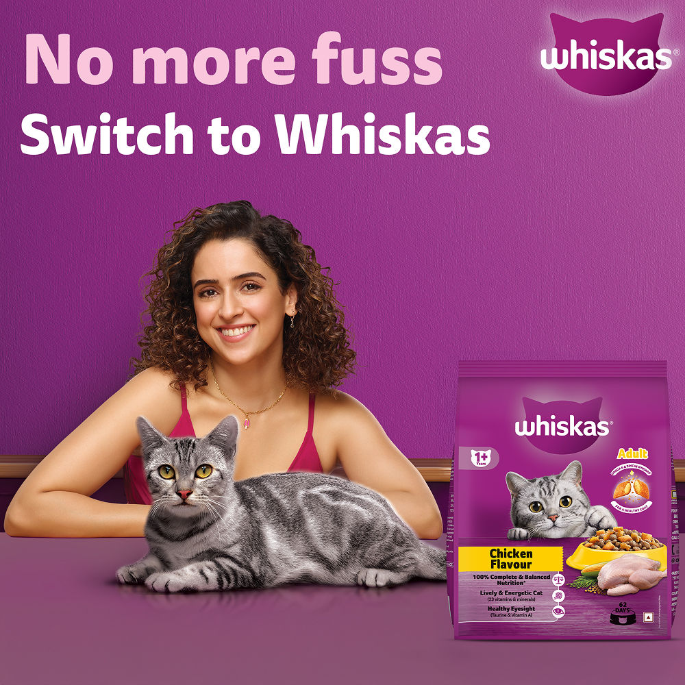 Whiskas Chicken Flavour Cat (Adult 1+) Dry Food — side view