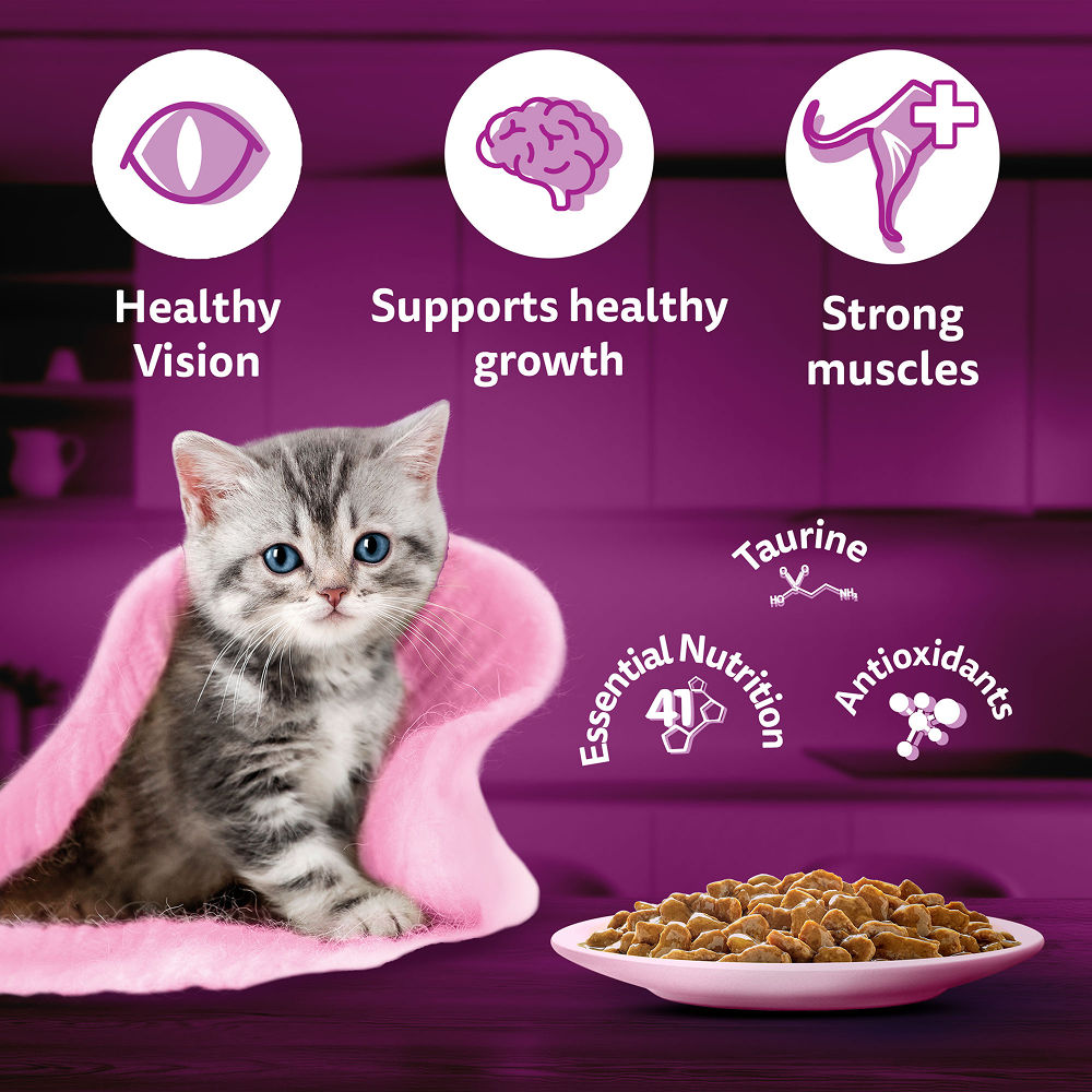 Whiskas Chicken in Gravy Meal Kitten Cat Wet Food — detail shot