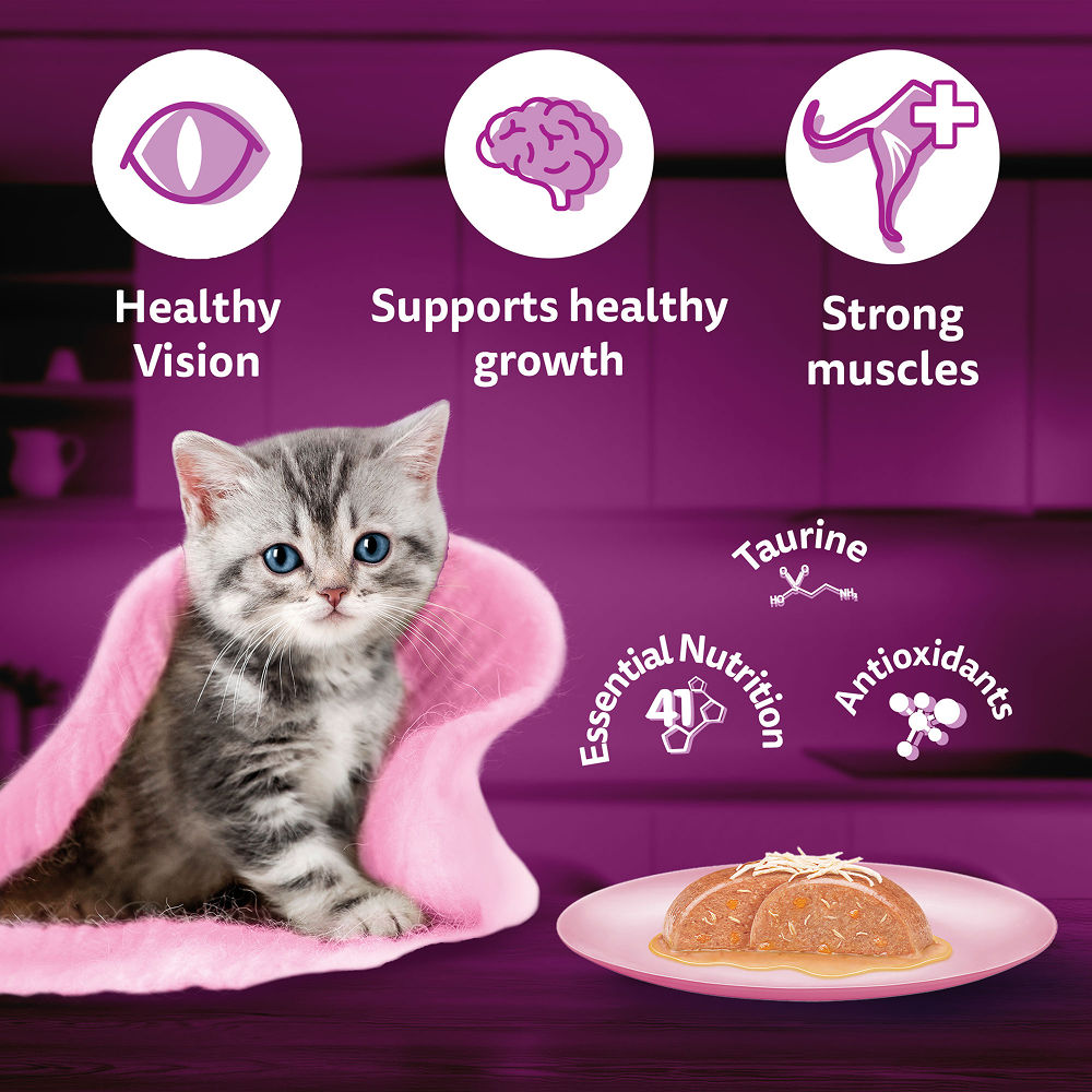 Whiskas Chicken with Salmon in Jelly Kitten (2-12 Months) Cat Wet Food — detail shot