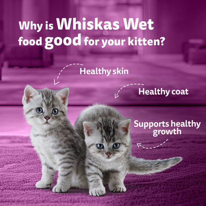 Whiskas Chicken with Salmon in Jelly Kitten (2-12 Months) Cat Wet Food — in use