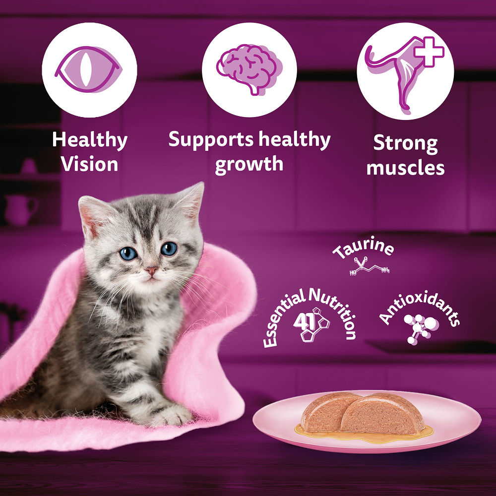 Whiskas Junior Mackerel Flavour Kitten (2-12 months) Cat Wet Food — in use