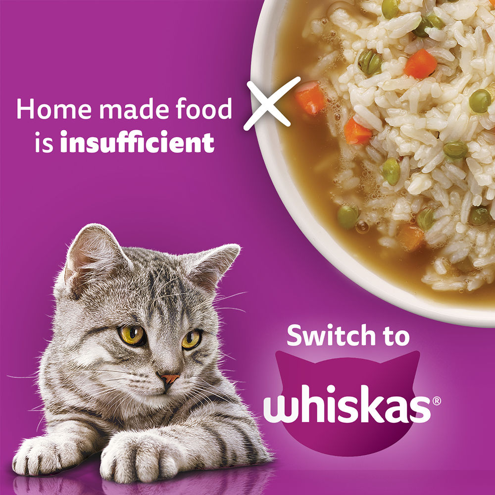 Whiskas Mackerel Flavour Dry Food for Mother and Baby Cat — back view
