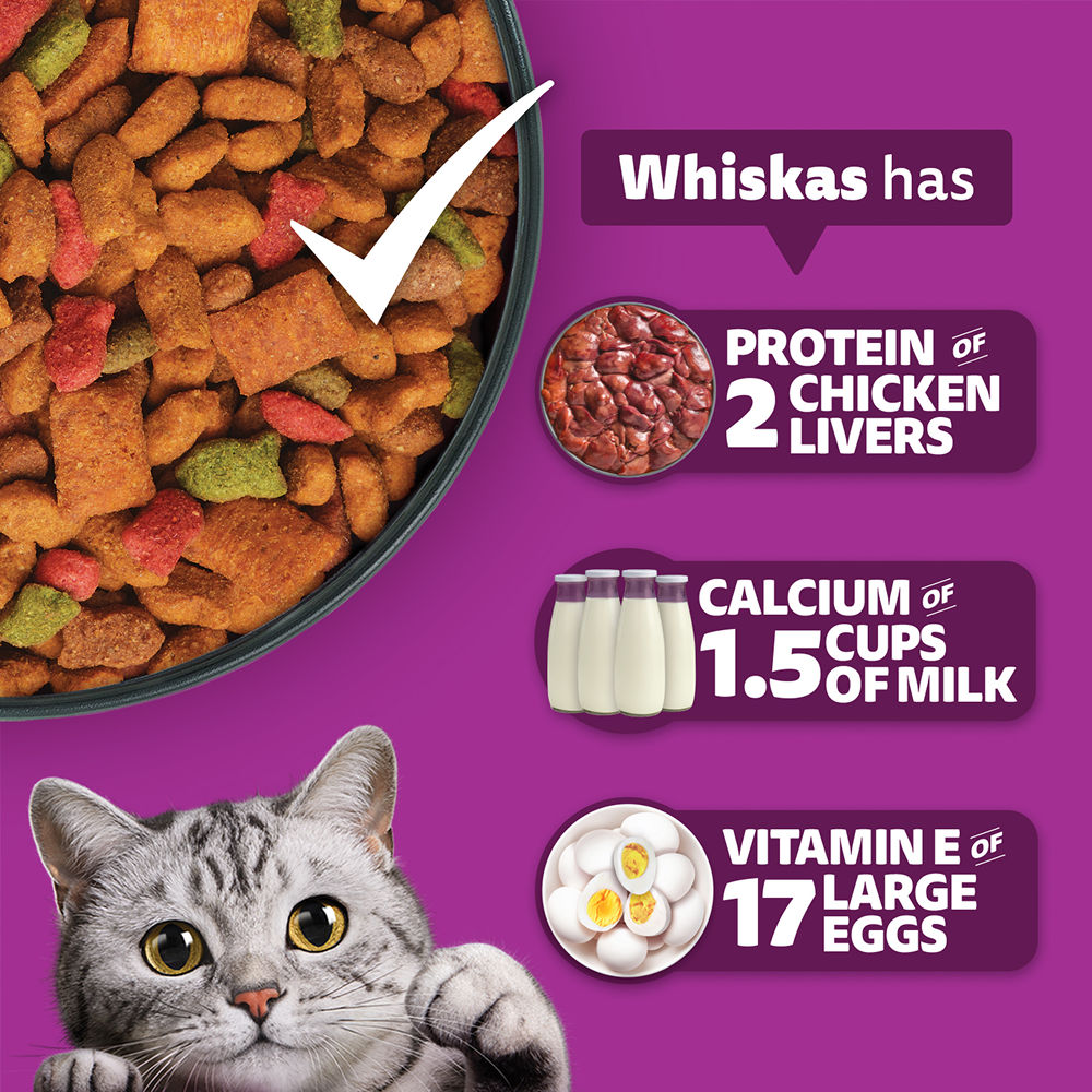 Whiskas Mackerel Flavour Dry Food for Mother and Baby Cat — detail shot