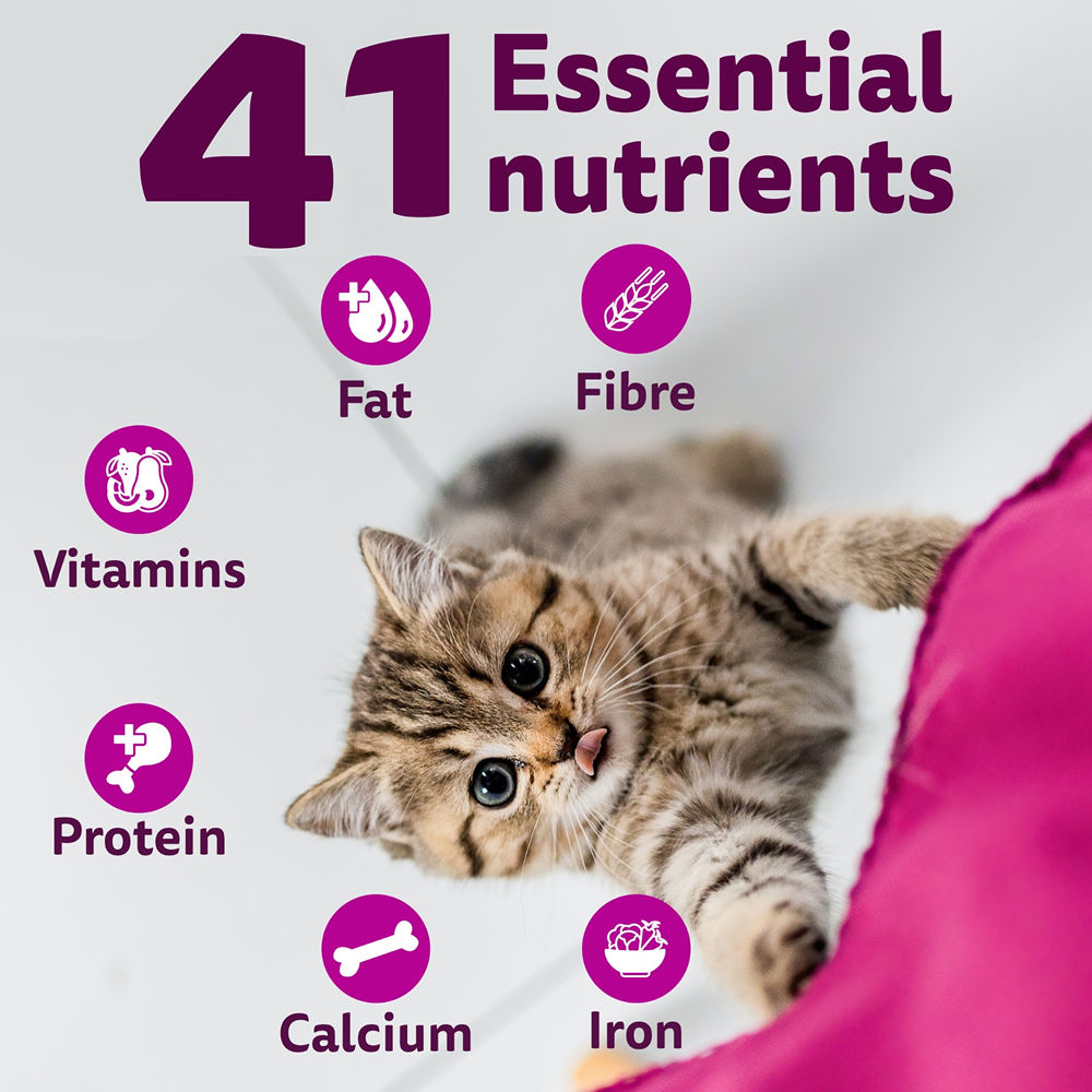 Whiskas Mackerel Flavour Kitten (2 to 12 months)Cat Dry Food — detail shot