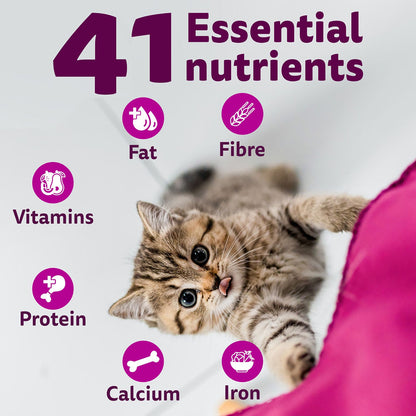Whiskas Mackerel Flavour Kitten (2 to 12 months)Cat Dry Food — detail shot