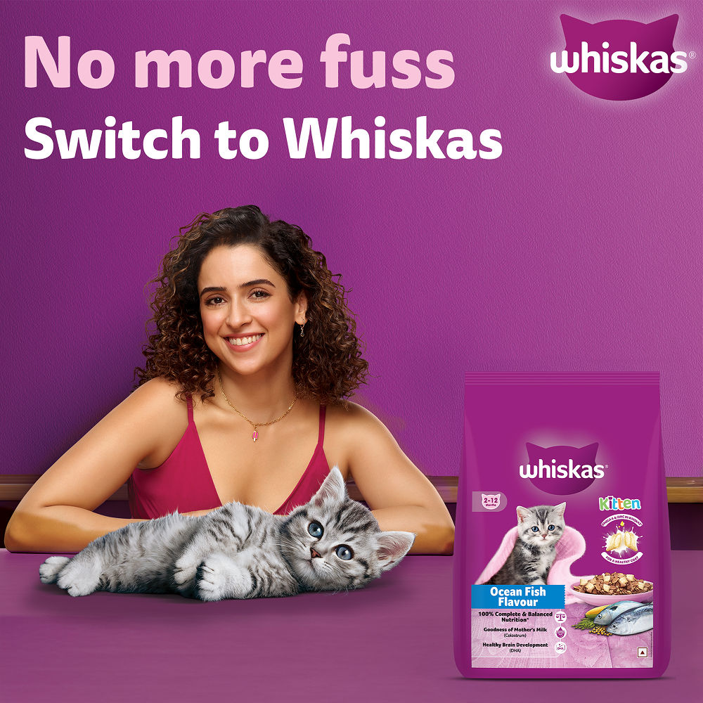 Whiskas Ocean Fish Kitten Cat Dry Food — side view
