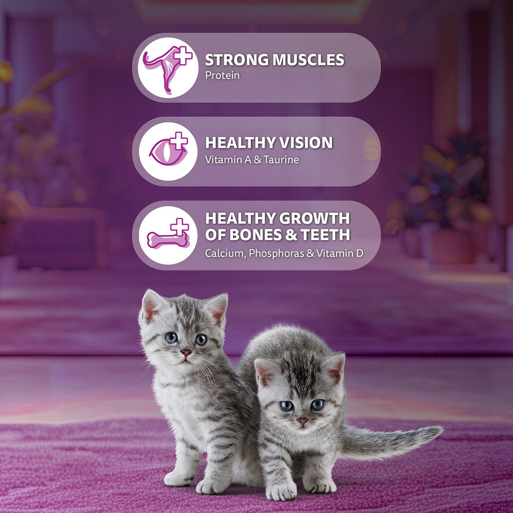 Whiskas Ocean Fish Kitten/Mother and Baby Cat Dry Food — back view