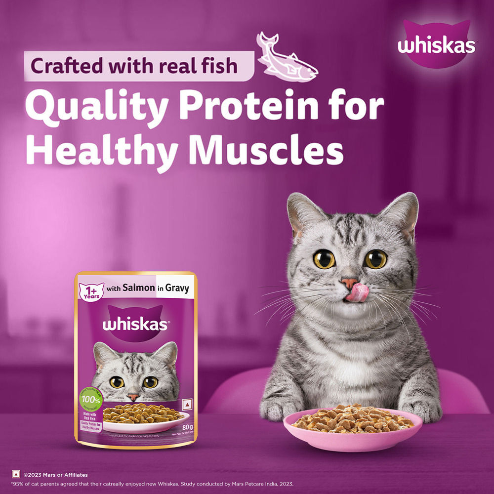 Whiskas Salmon in Gravy Meal Adult Cat Wet Food — in use