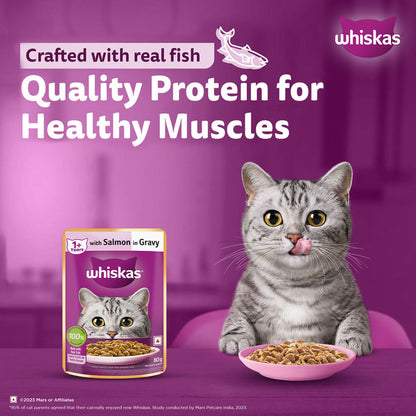 Whiskas Salmon in Gravy Meal Adult Cat Wet Food — in use