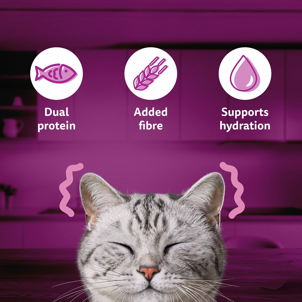 Whiskas Seafood Cocktail With Wakame Seaweed in Gravy Tasty Mix Adult Cat Wet Food — detail shot