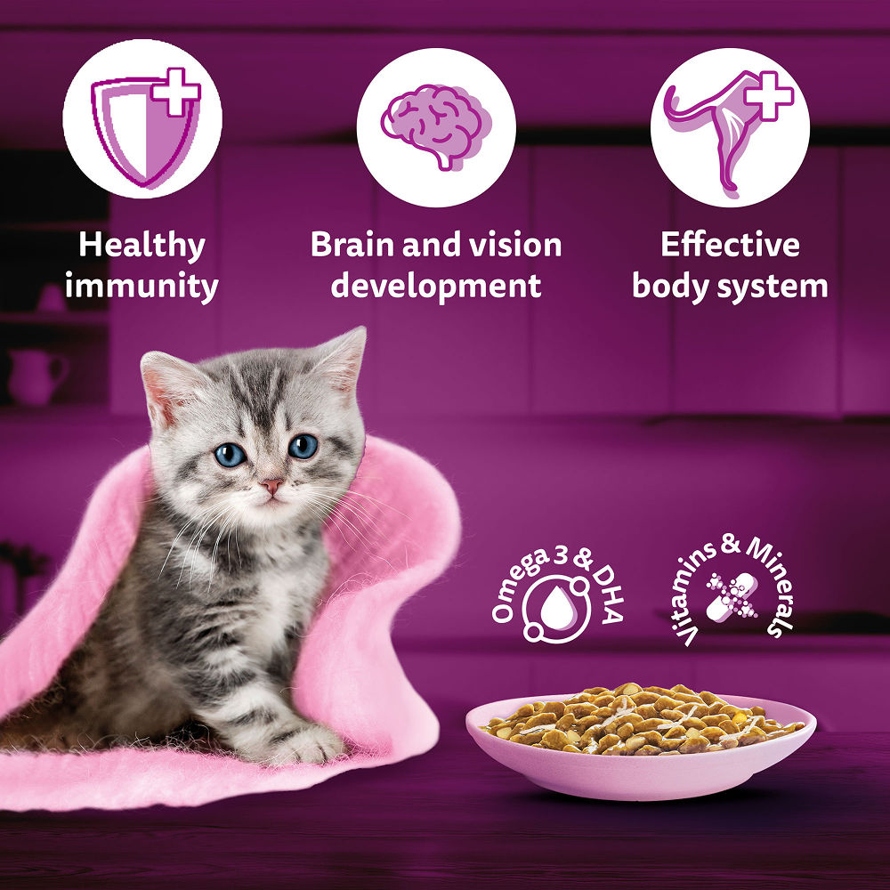 Whiskas Tasty Mix Chicken Tuna with Sweet Potato Kitten Cat Wet Food — back view