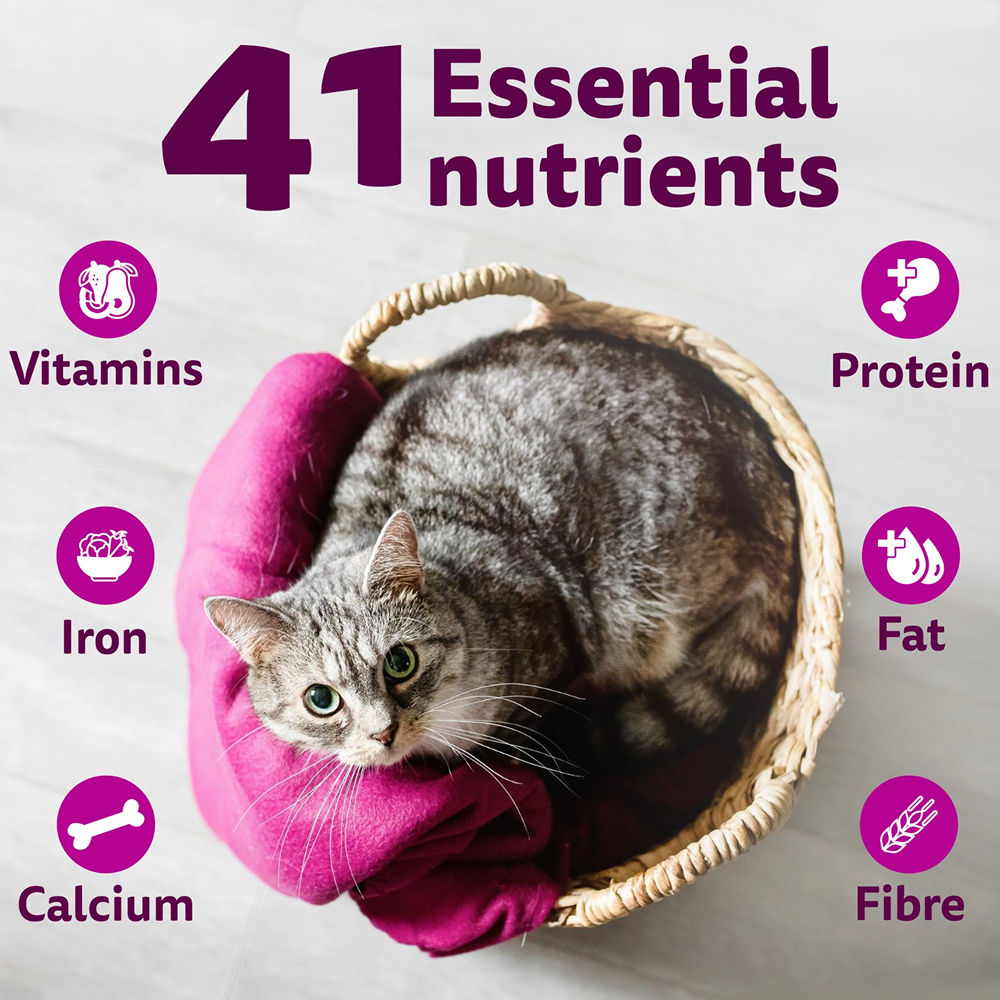 Whiskas Tuna Flavour Adult Cat Dry Food — in use