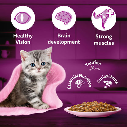 Whiskas Tuna In Jelly Kitten Cat Wet Food Copy - Image 5