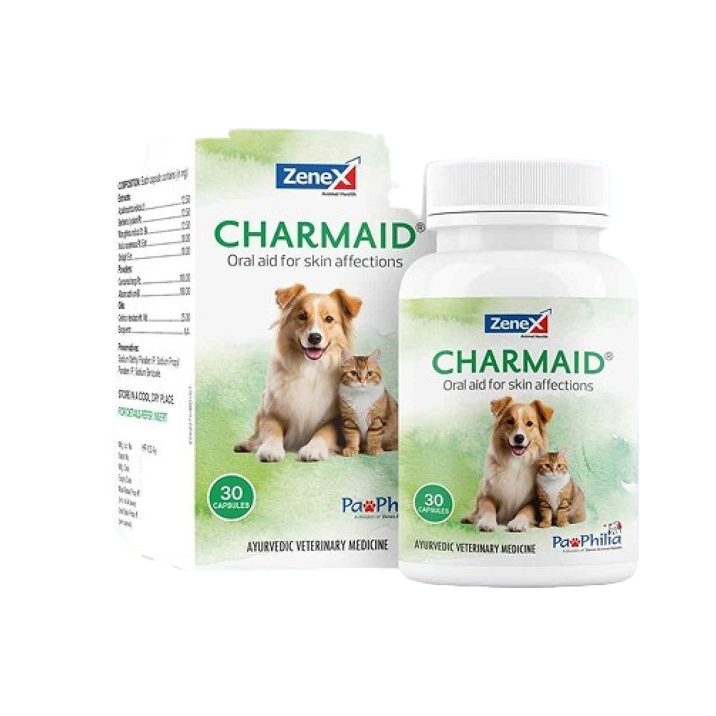 Zenex Charmaid Oral Aid for Skin Infection for Dogs and Cats — side view