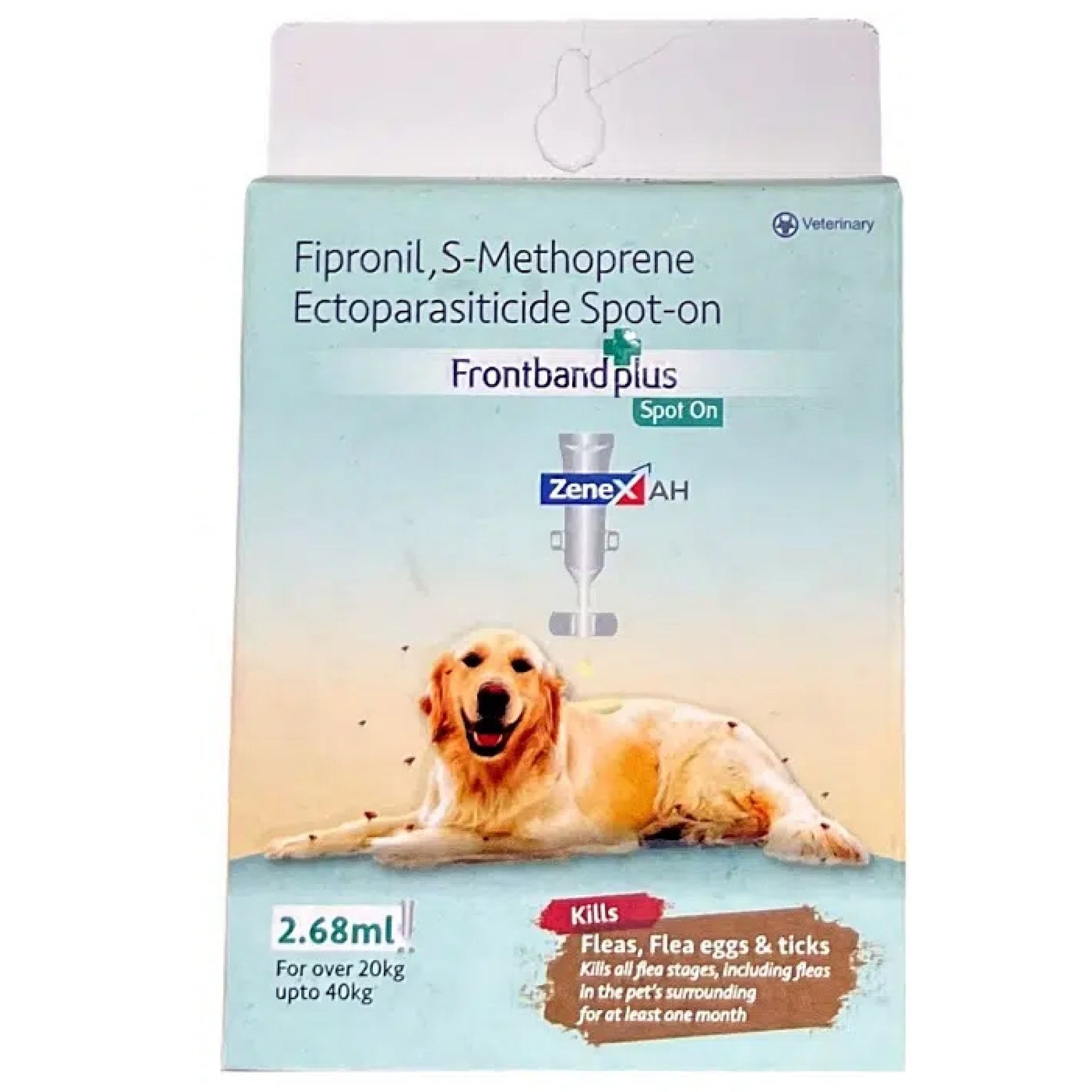 Zenex Frontband Plus Spot On For Large Dogs