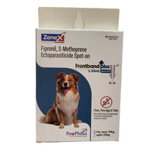Zenex Frontband Plus Spot On For Medium Dogs