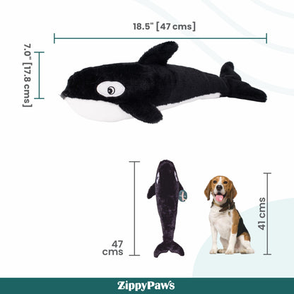 Zippy Paws Killer Whale Jigglerz Plush Toy for Dogs — in use
