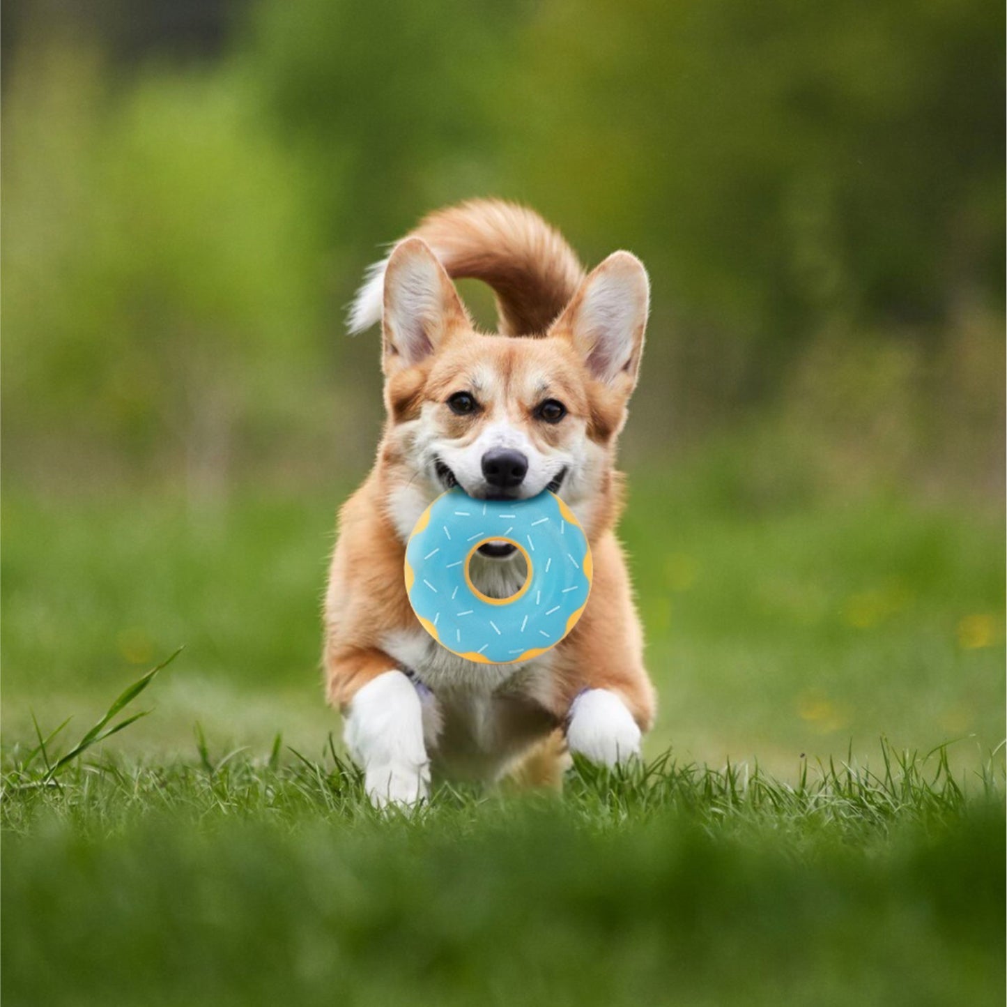 Zippy Paws Zippy Blueberry Tuff Donutz Plush Toy for Dogs — detail shot