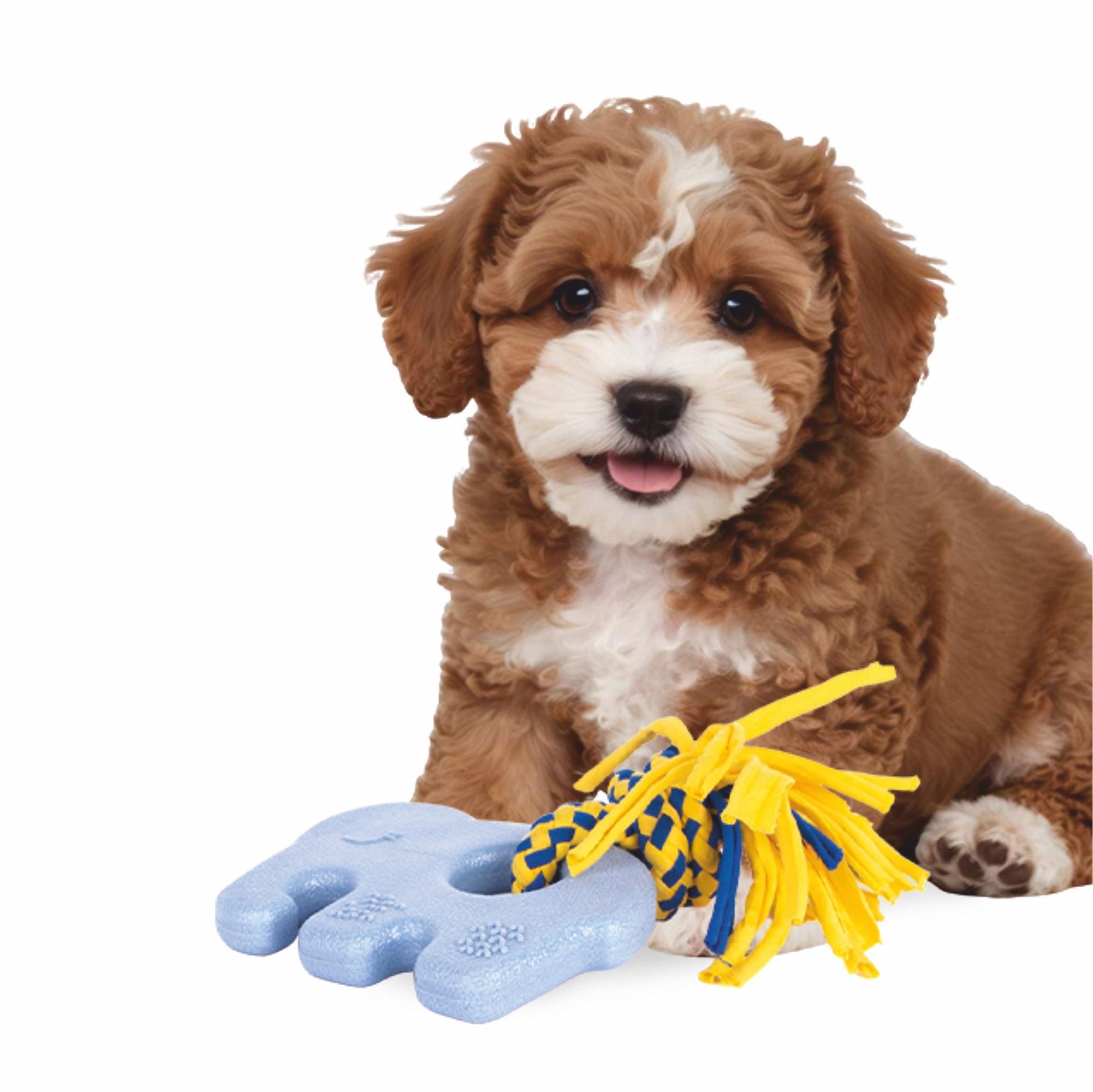 Zippy Paws ZippyTuff Teether Elliot the Elephant Plush Toy for Dogs — in use