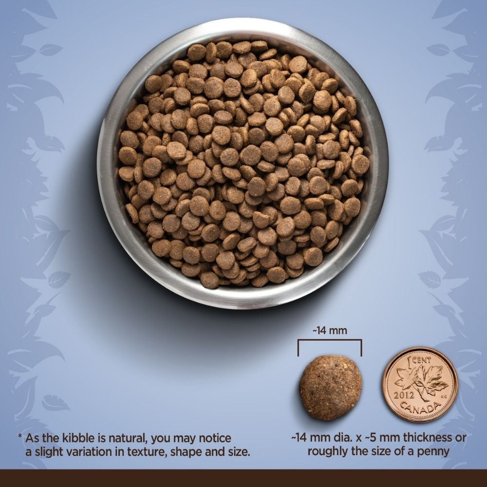 Zoe Chicken, Quinoa and Black Bean Medium Breed Adult Dog Dry Food — back view