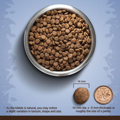 Zoe Chicken, Quinoa and Black Bean Medium Breed Adult Dog Dry Food — back view