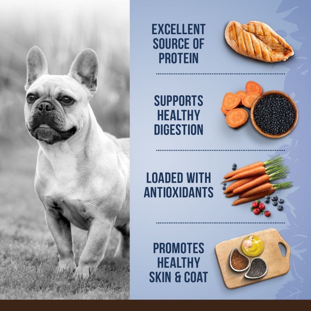 Zoe Chicken, Quinoa and Black Bean Small Breed Adult Dog Dry Food — side view
