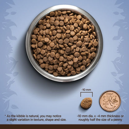 Zoe Chicken, Quinoa and Black Bean Small Breed Adult Dog Dry Food — back view