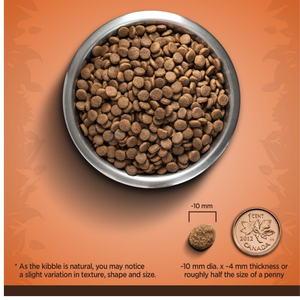 Zoe Turkey and Sweet Potato Small Breed Adult Dog Dry Food — back view