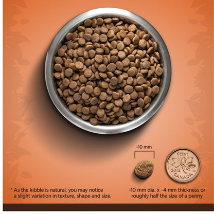 Zoe Turkey and Sweet Potato Small Breed Adult Dog Dry Food — back view
